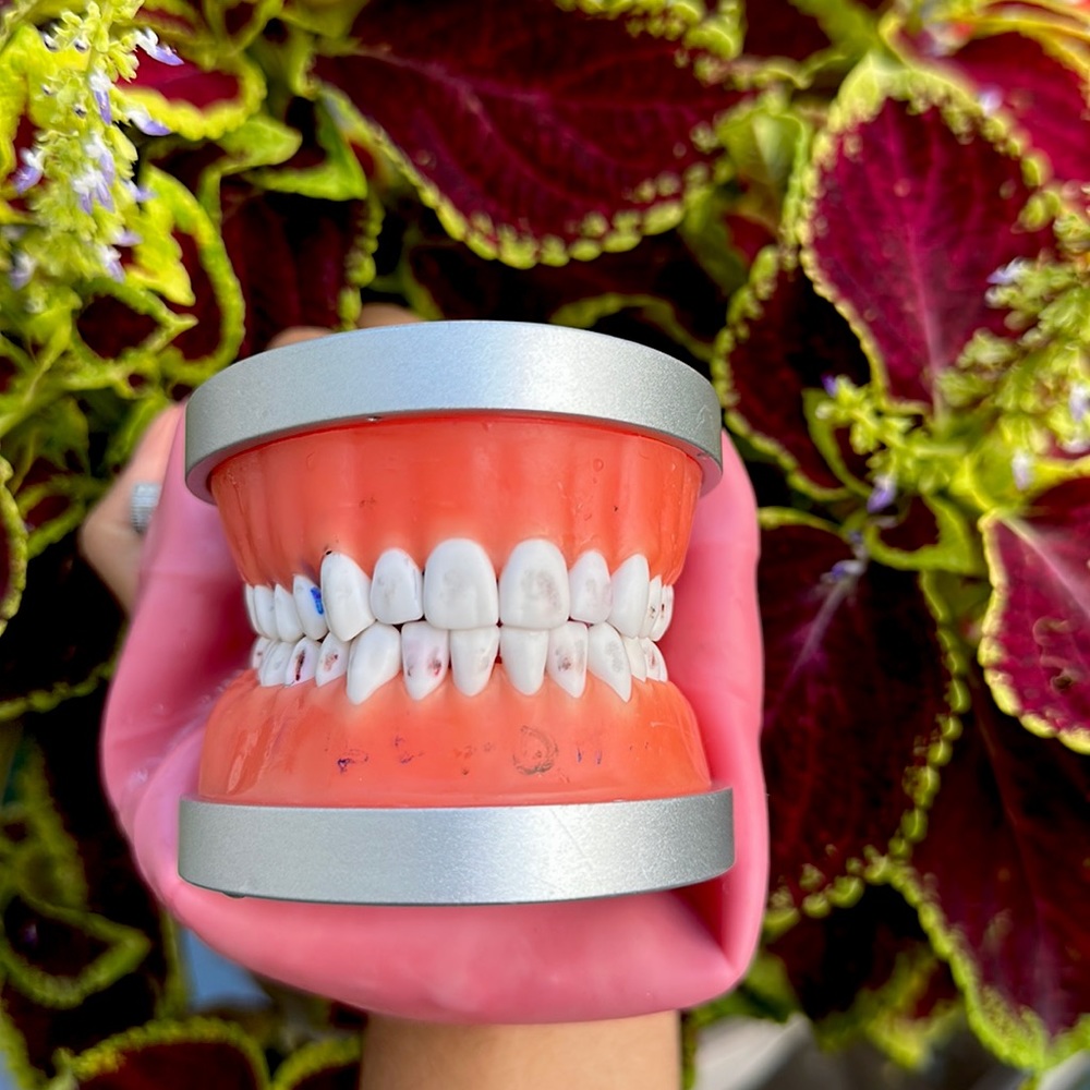 Mouth Model